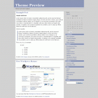 download wordpress theme now!