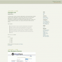 download wordpress theme now!