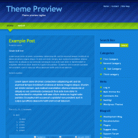 download wordpress theme now!