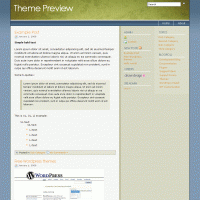 download wordpress theme now!