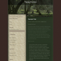 download wordpress theme now!