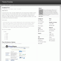 download wordpress theme now!