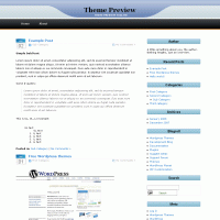 download wordpress theme now!