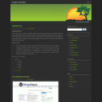 download wordpress theme now!