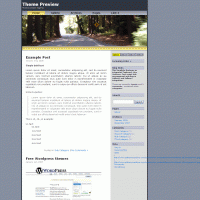 download wordpress theme now!