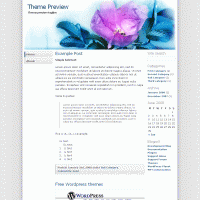 download wordpress theme now!