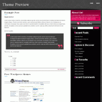 download wordpress theme now!