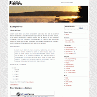 download wordpress theme now!