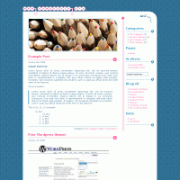 download wordpress theme now!