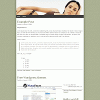 download wordpress theme now!