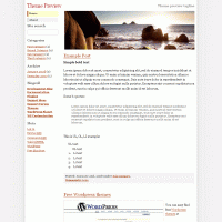 download wordpress theme now!