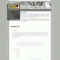 download wordpress theme now!