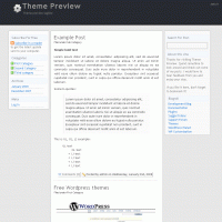 download wordpress theme now!