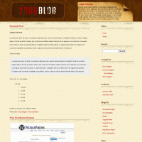 download wordpress theme now!