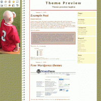 download wordpress theme now!