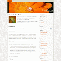 download wordpress theme now!