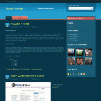 download wordpress theme now!