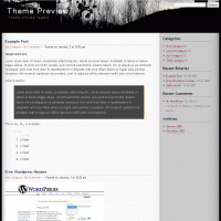 download wordpress theme now!