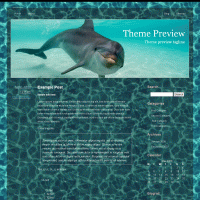 download wordpress theme now!