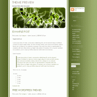 download wordpress theme now!