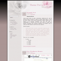 download wordpress theme now!