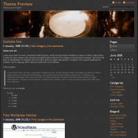 download wordpress theme now!