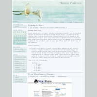 download wordpress theme now!