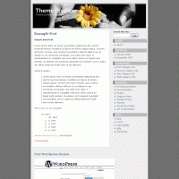 download wordpress theme now!