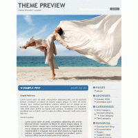 download wordpress theme now!