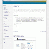 download wordpress theme now!