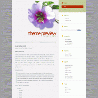 download wordpress theme now!