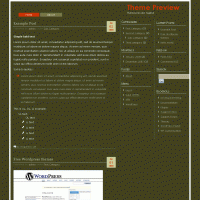 download wordpress theme now!