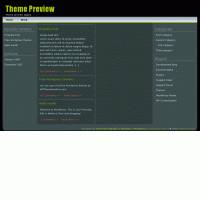 download wordpress theme now!