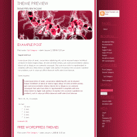 download wordpress theme now!