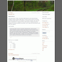 download wordpress theme now!