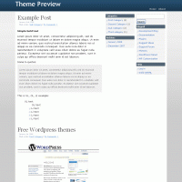 download wordpress theme now!