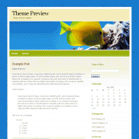 download wordpress theme now!