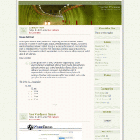 download wordpress theme now!