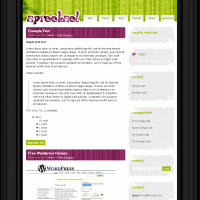 download wordpress theme now!