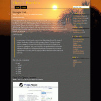 download wordpress theme now!