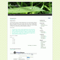 download wordpress theme now!