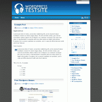 download wordpress theme now!