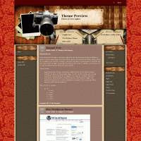 download wordpress theme now!