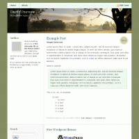 download wordpress theme now!