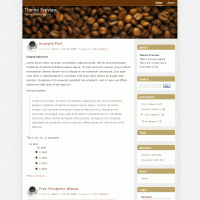 download wordpress theme now!