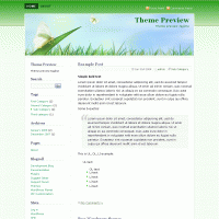 download wordpress theme now!