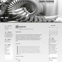 download wordpress theme now!