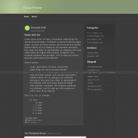 download wordpress theme now!