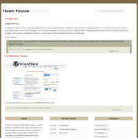 download wordpress theme now!