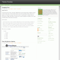 download wordpress theme now!